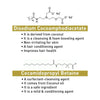 Absolute Hair Growth Serum Treatment Kit–Shampoo & Solution with Biotin, Rosemary & Ginseng - Keya Seth Aromatherapy