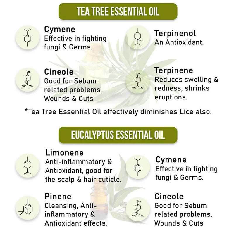 Anti Dandruff Treatment Kit–Shampoo & Solution with Salicylic, Tea Tree & Pentavitin - Keya Seth Aromatherapy