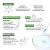 Absolute Hair Growth Serum Treatment Kit–Shampoo & Solution with Biotin, Rosemary & Ginseng - Keya Seth Aromatherapy