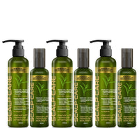 Anti Dandruff Treatment Kit–Shampoo & Solution with Salicylic, Tea Tree & Pentavitin - Keya Seth Aromatherapy