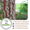 Free 3-in-1 Neem Wooden Comb Small Size - Keya Seth Aromatherapy