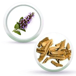 Black Shine Hair Pack Natural Hair Colour, Dye with Ayurvedic Herbs, Men & Women - Keya Seth Aromatherapy