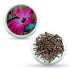 Black Shine Hair Pack Natural Hair Colour, Dye with Ayurvedic Herbs, Men & Women - Keya Seth Aromatherapy