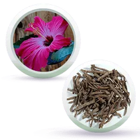 Black Shine Hair Pack Natural Hair Colour, Dye with Ayurvedic Herbs, Men & Women - Keya Seth Aromatherapy