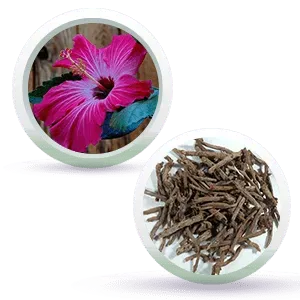 Black Shine Hair Pack Natural Hair Colour, Dye with Ayurvedic Herbs, Men & Women - Keya Seth Aromatherapy