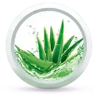 Fresh Dew Daily Face Moisturizer Quick Absorbing Non-Sticky, Flawless Skin Lotion for Normal Skin Enriched with Essential Oil - Keya Seth Aromatherapy
