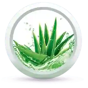 Fresh Dew Daily Face Moisturizer Quick Absorbing Non-Sticky, Flawless Skin Lotion for Normal Skin Enriched with Essential Oil - Keya Seth Aromatherapy